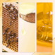Олія для волосся Gisou Honey Infused Hair Oil 20 ml 6938 фото 3